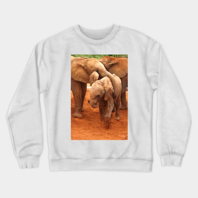 Affectionate Playmates: Baby Elephants Crewneck Sweatshirt by Carole-Anne